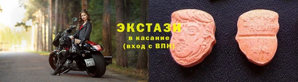 ECSTASY Алзамай