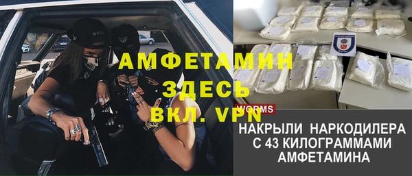 стафф Алексин
