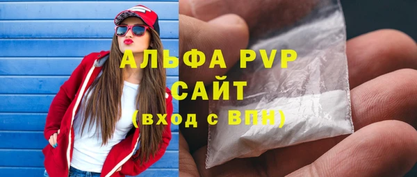 прущие грибы Козельск