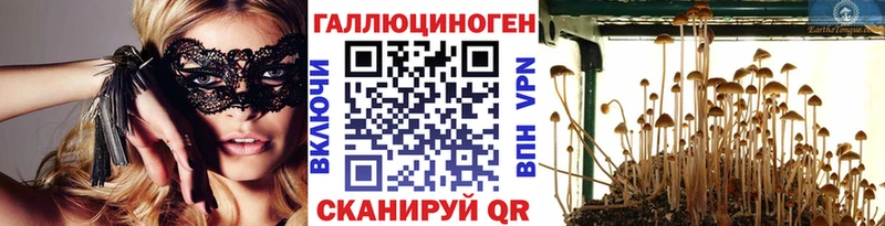 Галлюциногенные грибы Psilocybine cubensis Валуйки